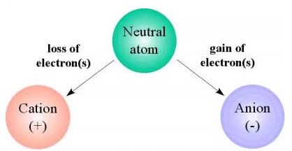 Image result for anions (http://www.medfriendly.com/images/anion_gap.jpg)