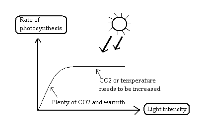Image result for rate of photosynthesiscarbon dioxide  graph gcse annotated rate (http://static2.mbtfiles.co.uk/media/docs/newdocs/gcse/science/biology/green_plants_as_organisms/842089/html/images/image05.png)