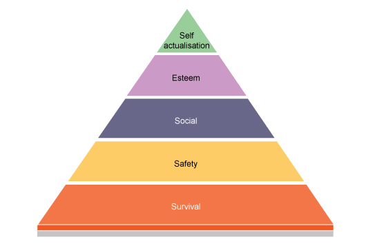 The five levels of motivation described by Maslow: survival, safety, social, esteem and self actualisation.  (http://www.bbc.co.uk/schools/gcsebitesize/business/images/people3.gif)