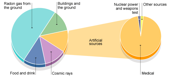 50% radon gas from the ground, 12% buildings and the ground, 12% food and drink, 12% cosmic rays, 14% artificial sources - mainly cosmic rays, small amount of nuclear power and weapons test (http://www.bbc.co.uk/staticarchive/297db7543d9bf4f4bef75de80eb0f2816d3c05b5.gif)
