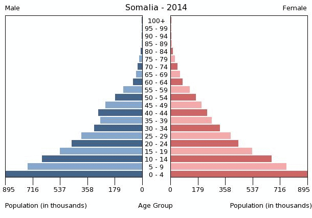 (http://www.indexmundi.com/graphs/population-pyramids/somalia-population-pyramid-2014.gif)