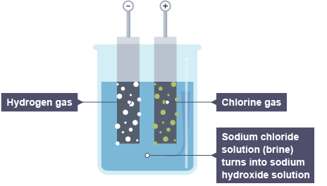Electricity is passed through sodium chloride solution (brine). (http://www.bbc.co.uk/schools/gcsebitesize/science/images/triple_science/112_bitesize_gcse_tschemistry_electrolyticprocesses_substancesfromsalt_464.gif)