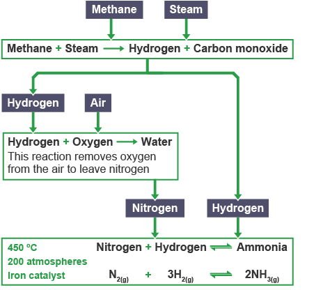 Hydrogen is extracted from the reaction between methane and steam. Nitrogen is extracted from the combustion of hydrogen in air. Hydrogen and nitrogen are combined at a pressure of 200 atmospheres and a temperature of 450 degrees Celsius with iron as a catalyst, to produce ammonia. (http://www.bbc.co.uk/schools/gcsebitesize/science/images/triple_science/113_bitesize_gcse_tschemistry_gasesequilibriaandammonia_haberprocess_464.gif)