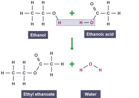 Ethanol and ethanoic acid combine to form ethyl ethanoate and water (http://www.bbc.co.uk/schools/gcsebitesize/science/images/triple_science/024_bitesize_gcse_tschemistry_alcoholscarboxylicacidsandesters_ethylethanoate_464.gif)