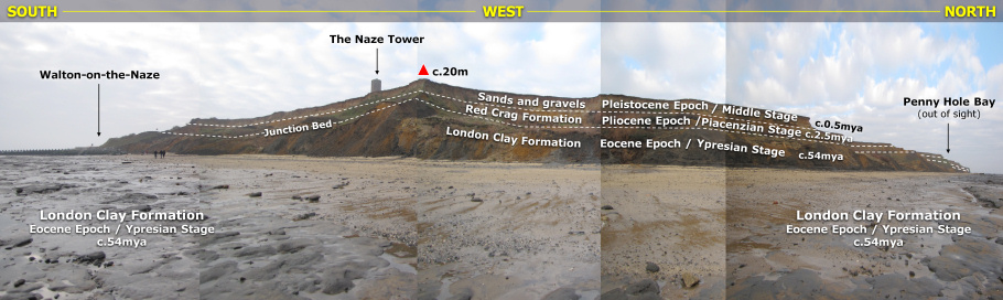 (http://www.discoveringfossils.co.uk/walton_on_the_naze_panoramic.jpg)