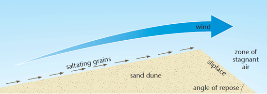 sand dunes (http://www.revisionworld.com/sites/revisionworld.com/files/imce/dunes.gif)
