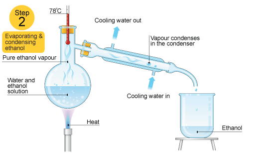 temperature reaches 78 degrees celcius, vapour condenses in a condenser, ethanol drips out into a beaker  (http://www.bbc.co.uk/schools/gcsebitesize/science/images/12_2_distillation.gif)