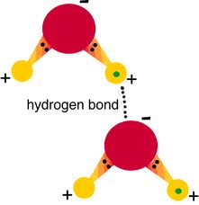 (http://2.bp.blogspot.com/-rd3x3WIiyLw/Ta8mmQyI0hI/AAAAAAAAAiw/VifHeuMO-j8/s1600/hydrogen+bond+between+2+water+molecules.jpg)
