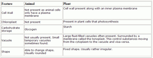 (http://lusinagao.files.wordpress.com/2012/08/difference-between-plant-animal-cell-2.gif?w=540)