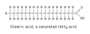 Stearic Acid (http://library.med.utah.edu/NetBiochem/mml/fa_fatacids01.gif)