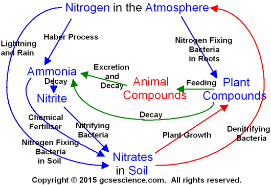 (http://www.gcsescience.com/nitrogen-cycle.gif)