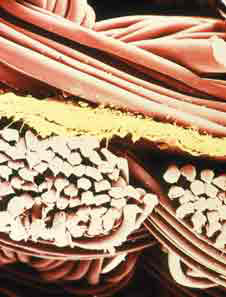 microscopic image of Gore-TexÂ® fabric (http://www.bbc.co.uk/schools/gcsebitesize/science/images/synthetic_polymers_1.jpg)