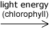 Reaction (light energy, chlorophyll) (http://www.bbc.co.uk/staticarchive/d4149e85e49ab03413b90e1dfc6df9eee13a5689.gif)