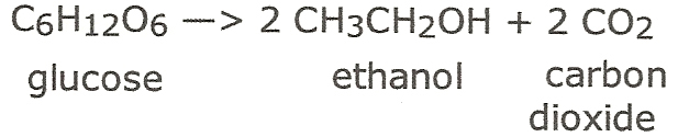 (http://www.greenandpractical.com/bioethanol%20formula.jpg)