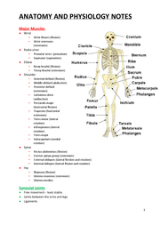 AS OCR PE - Anatomy and Physiology Notes - Document in A Level and IB