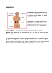 What are examples of steroids in biology