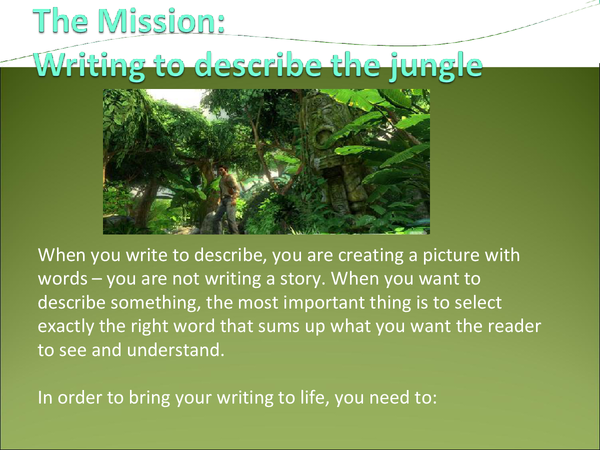 creative writing description of jungle